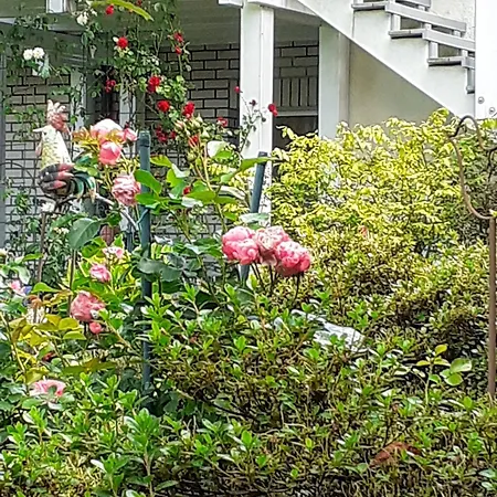 Am Herzberg Apartment Ingelbach